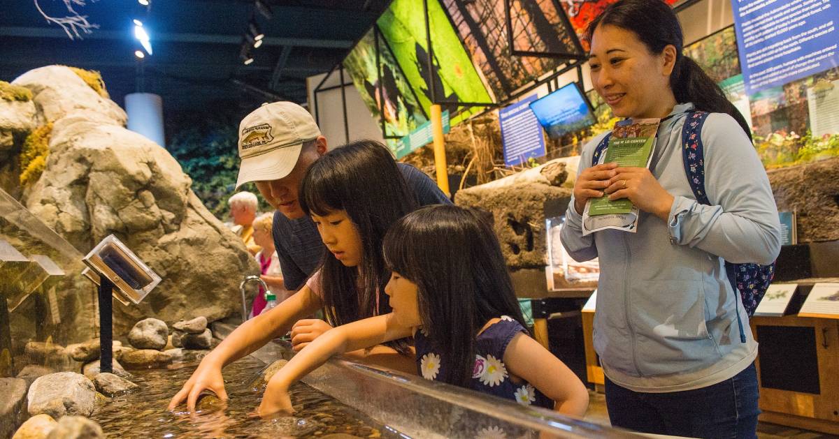  family looks at water exhibit in museum