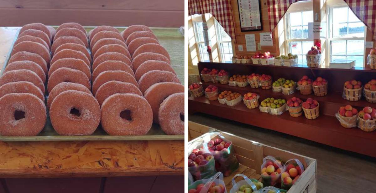 14 of the Best Places for Cider Donuts in Saratoga County, NY