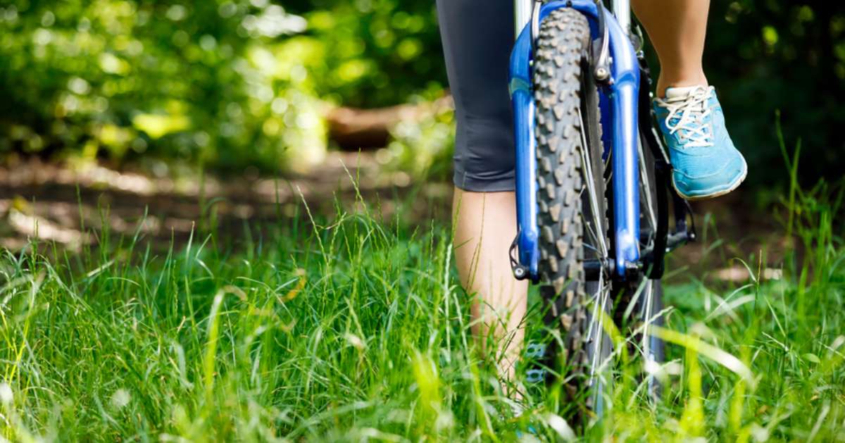 mountain bike on grass