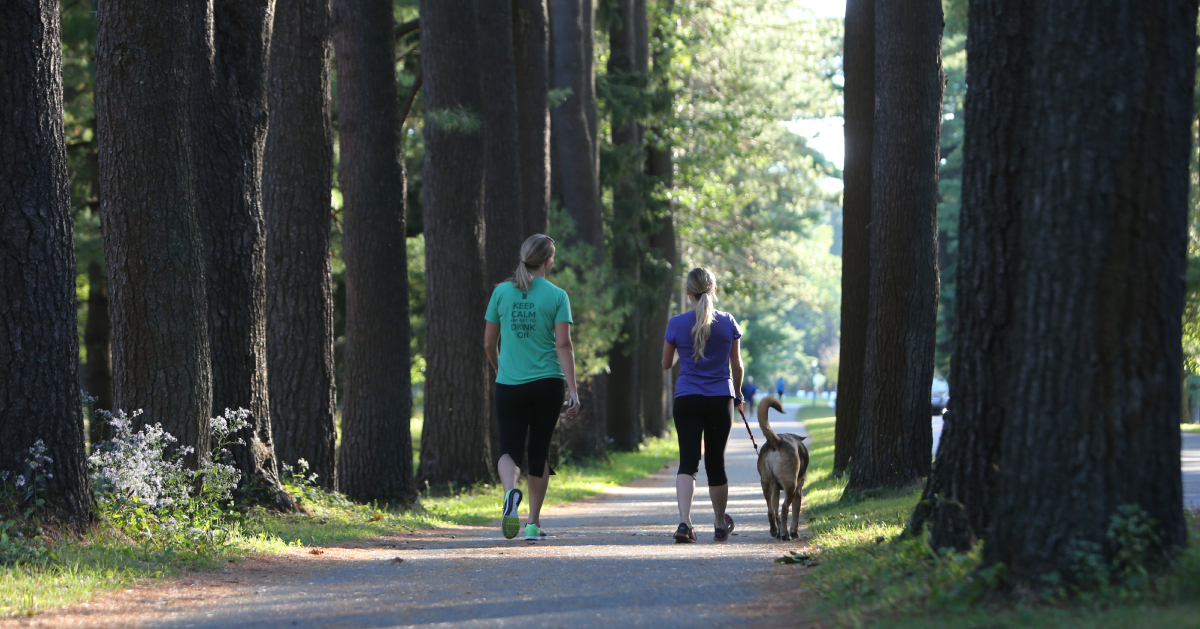 two women and dog walking in a park