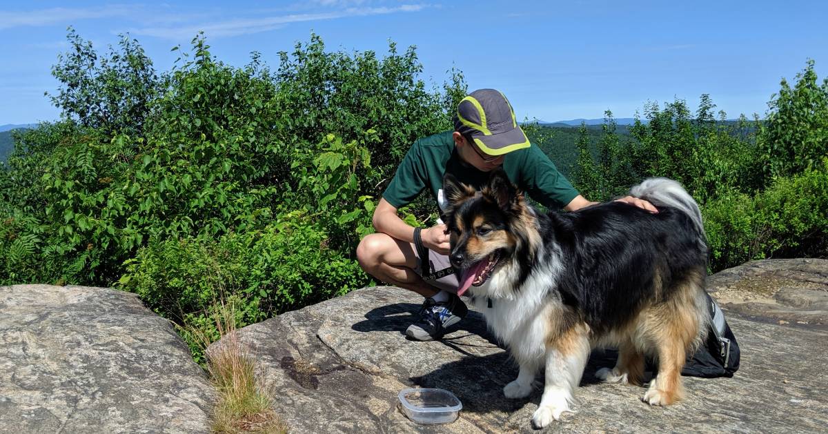 man giving dog water on mountain summit