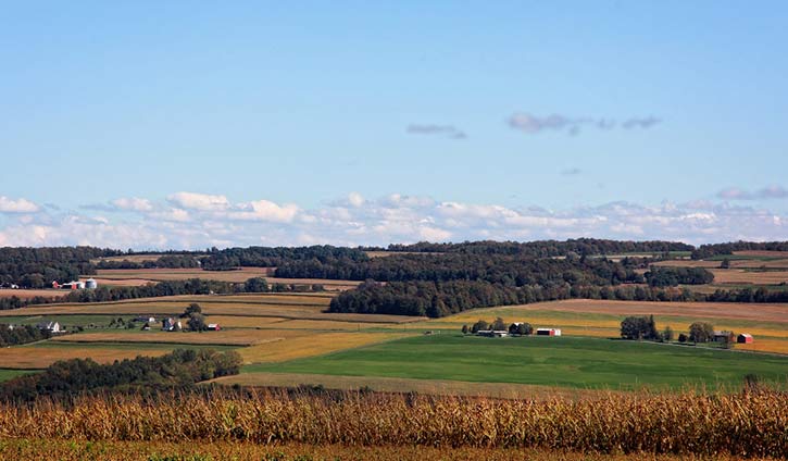 farmland