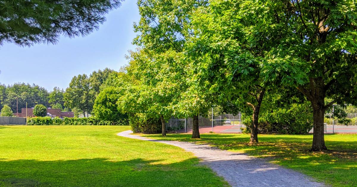 walking path in park