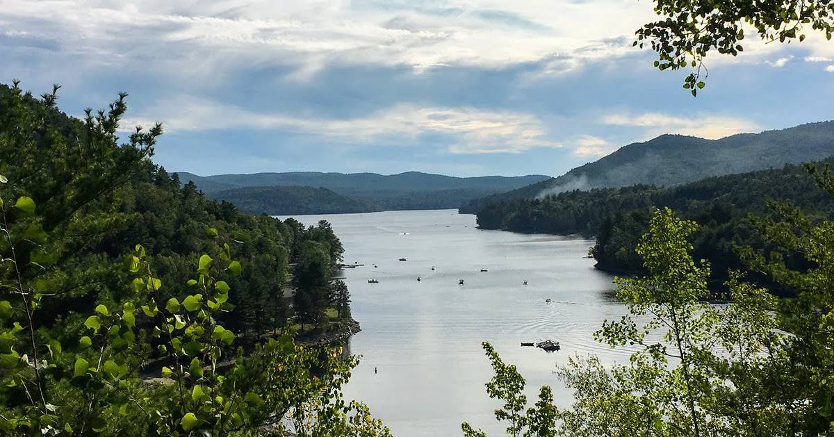 view of lake between trees