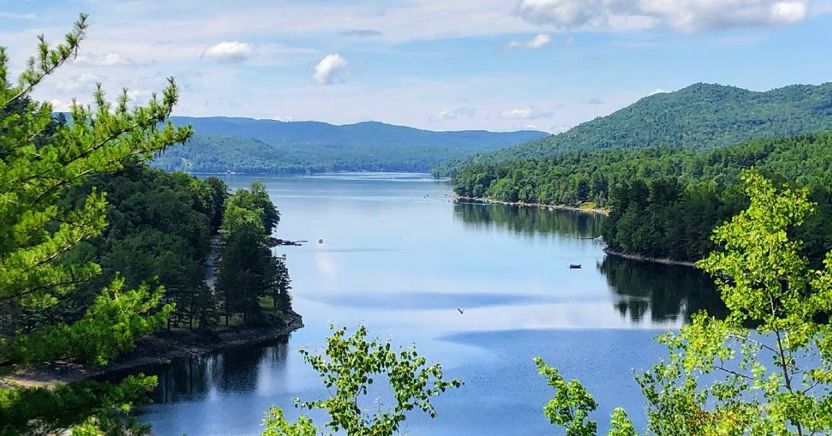 view of lake through trees