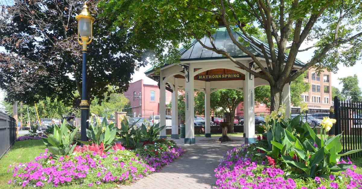 Hathorn mineral spring with pink flowers nearby