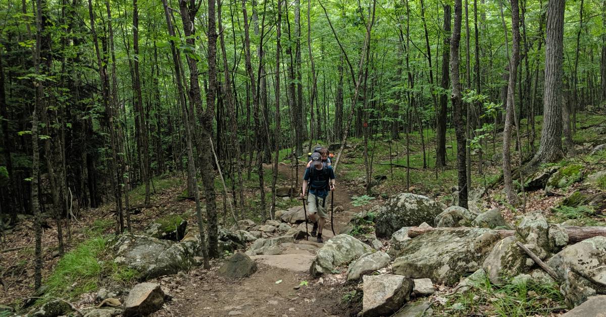 man with toddler hiking in the woods