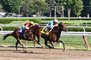 horses racing at Saratoga Race Course