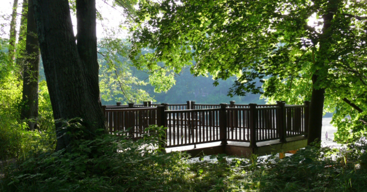 viewing deck at the edge of woods