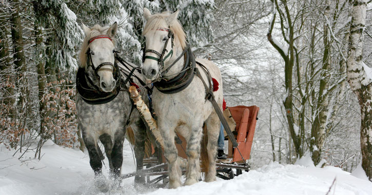 sleigh pulled by two horses in the snow