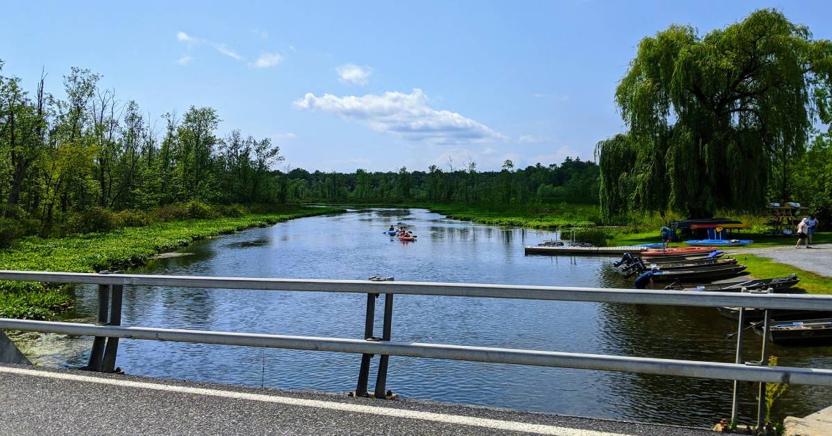 view from road of people kayaking on a waterway