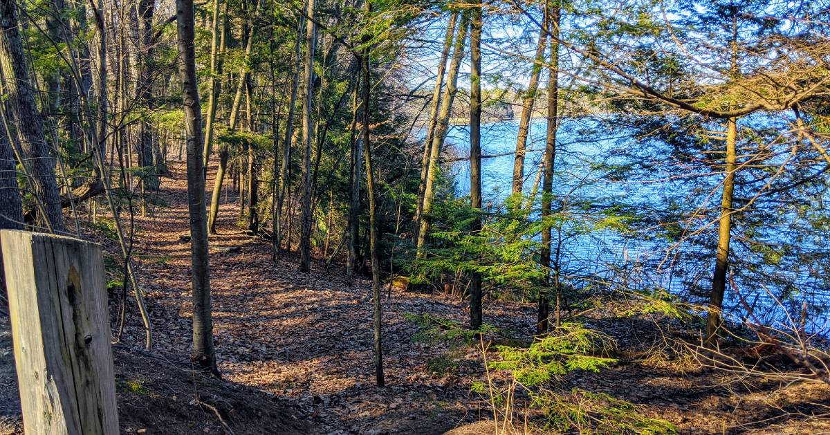 path in woods by water