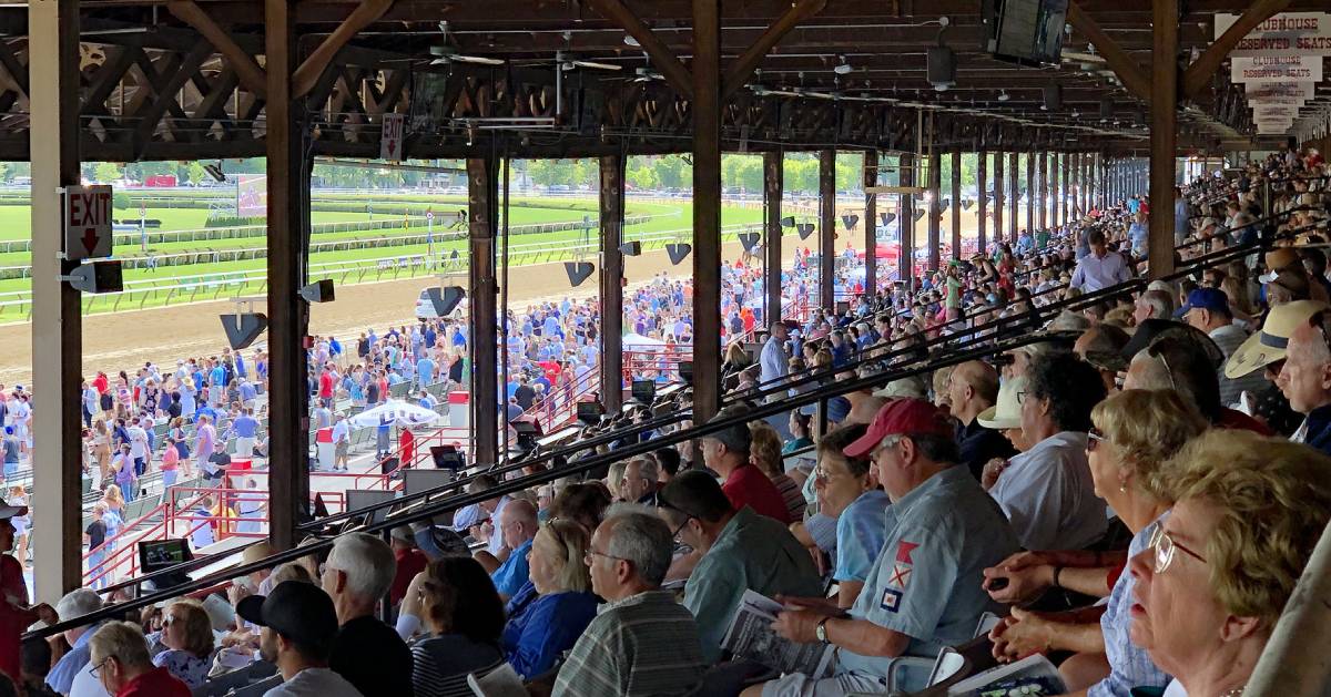 people seated at the race course