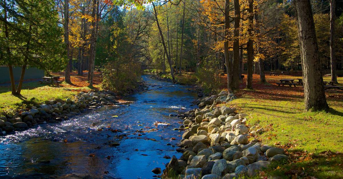 scenic river flowing through a park