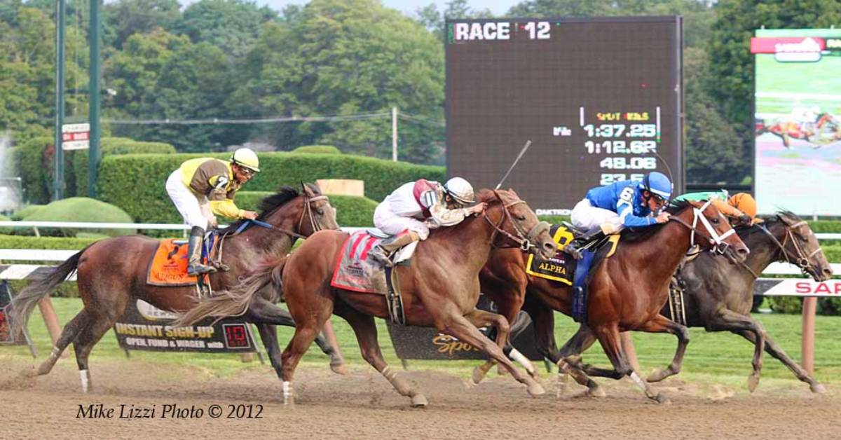 horses racing on a dirt track