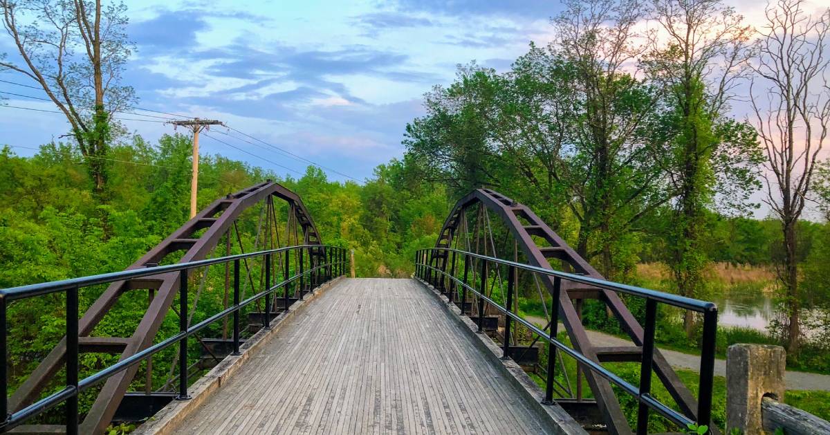 bridge in nature preserve