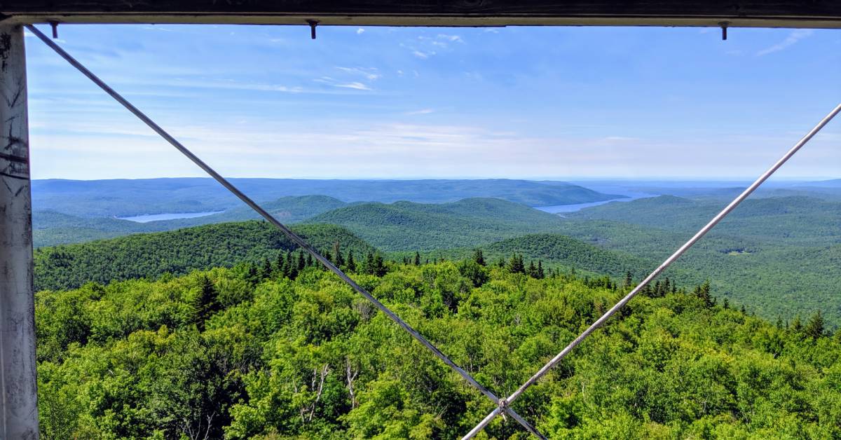 view from fire tower