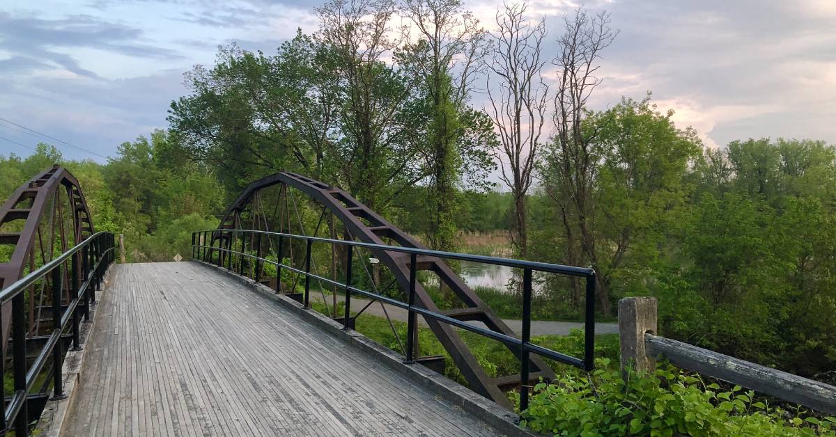 bridge at a nature preserve