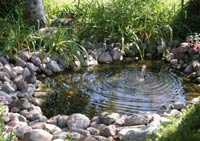 backyard pond fountain