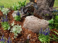 rock mulch flowers