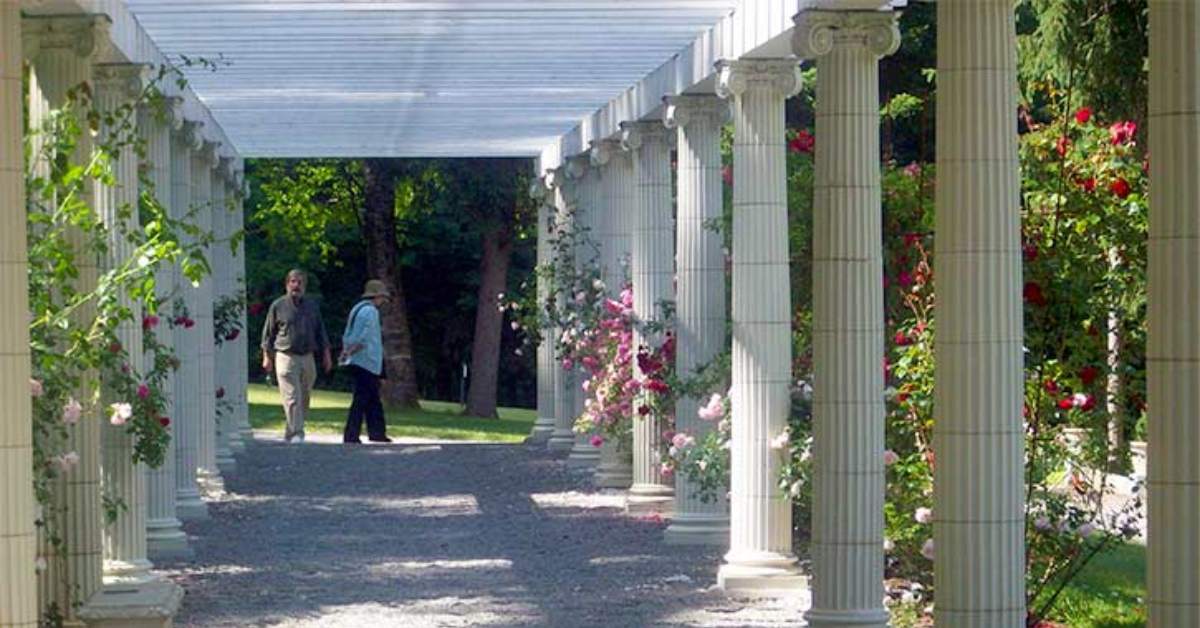 two people walking around a garden area