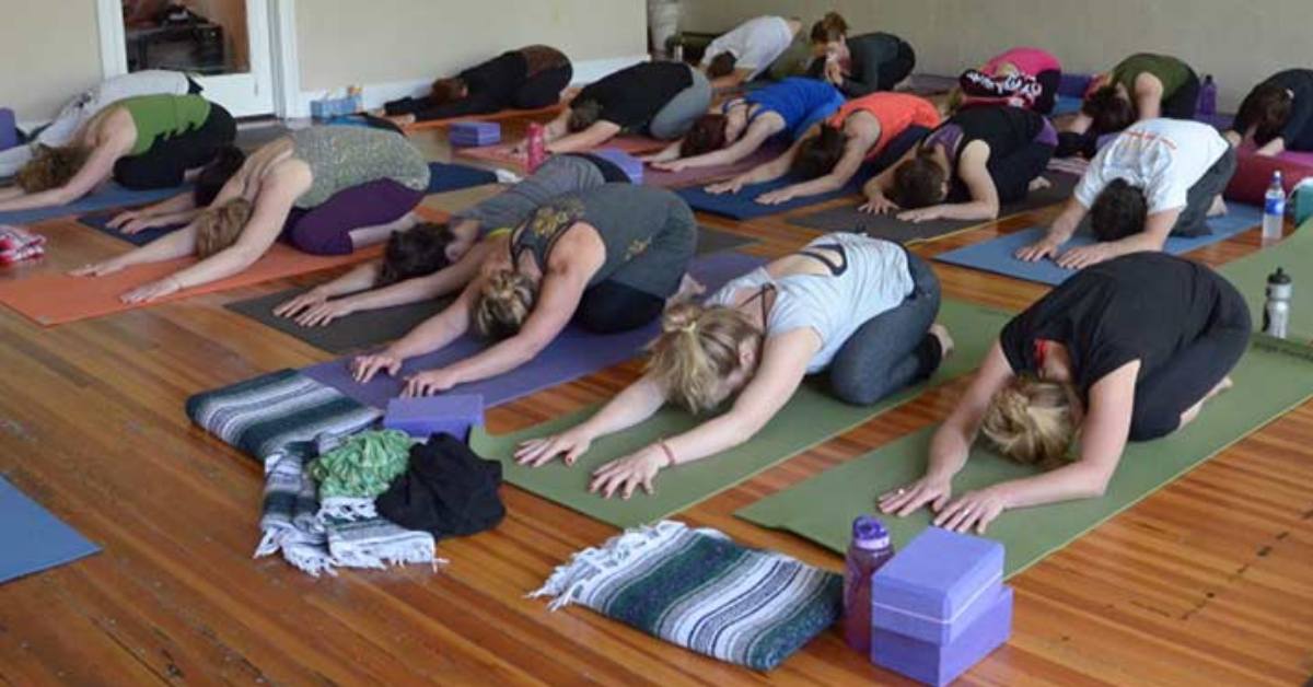 group of people doing yoga in a room