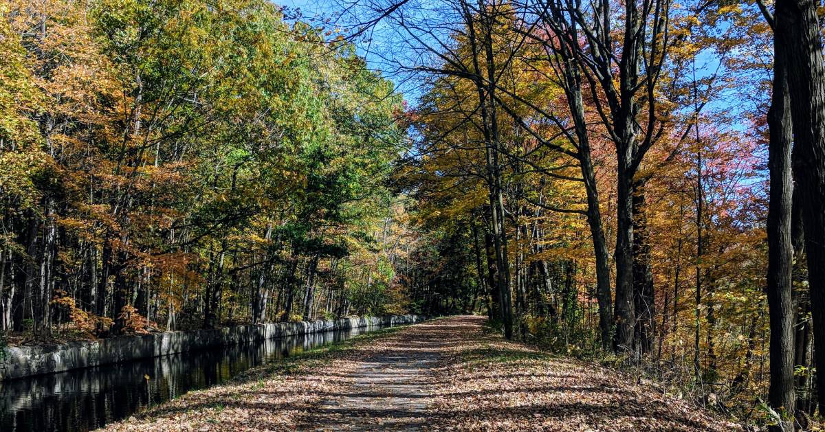 canal and path in the fall