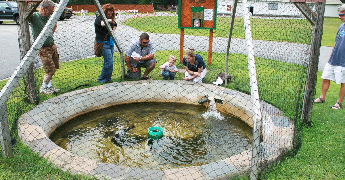 people checking out fish pond area