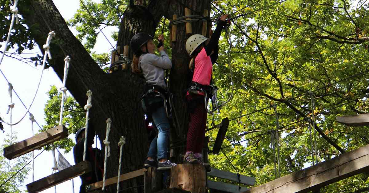 kids navigating an aerial challenge course