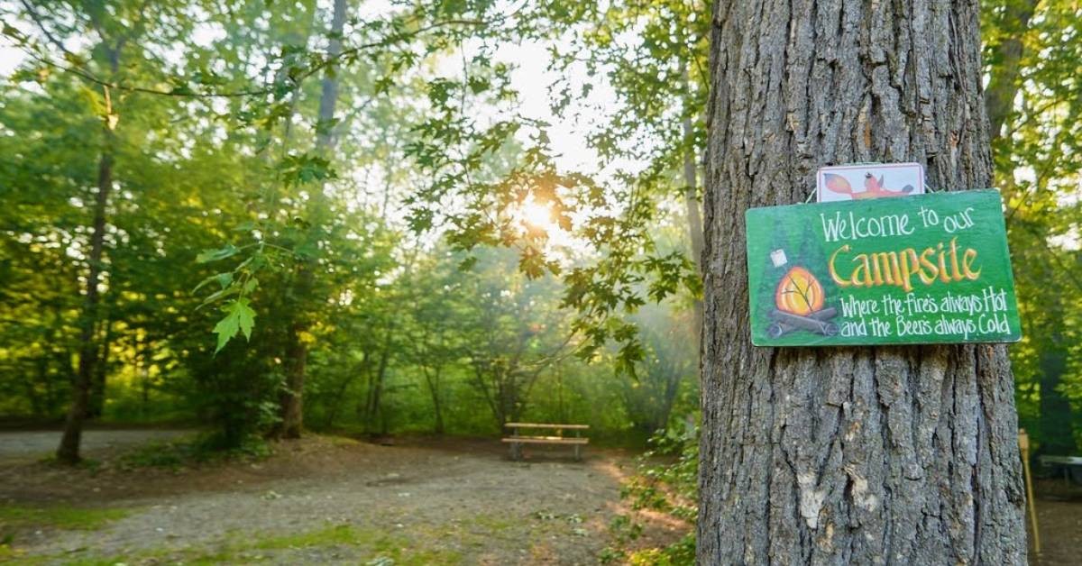 campsite sign on a tree