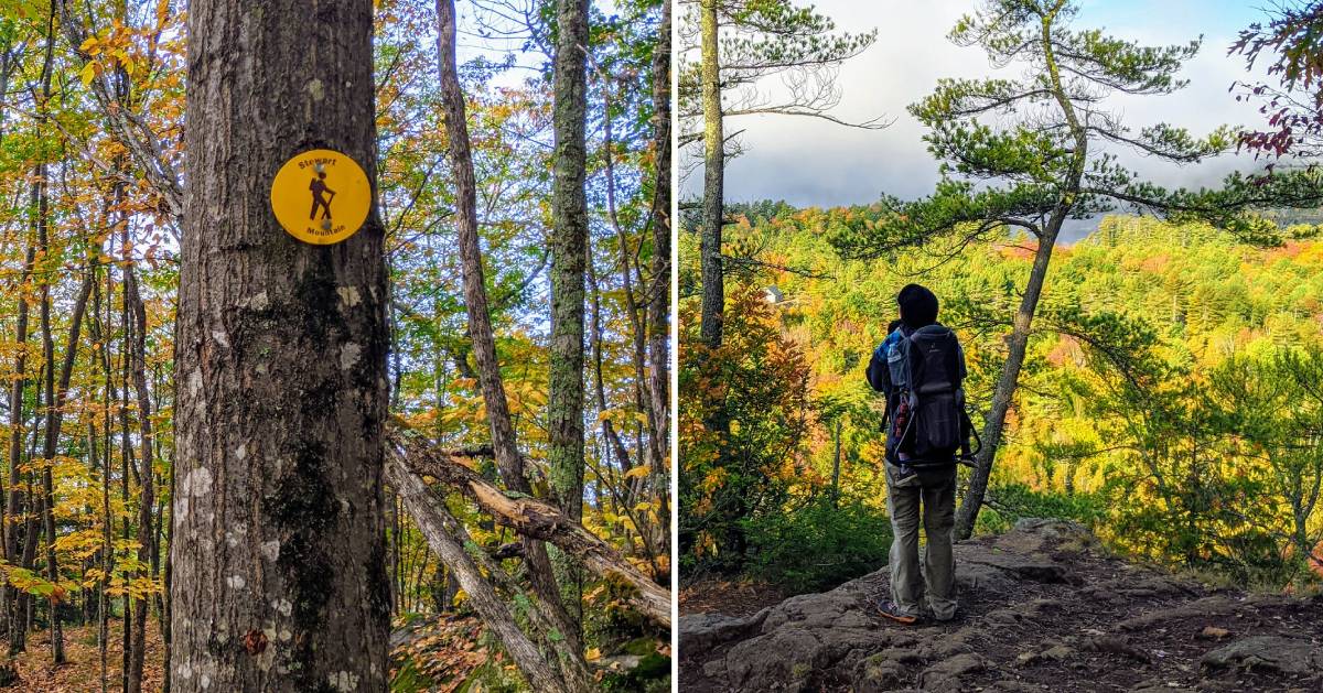 split image with trail marker on tree on the left and hiker with kid on back at summit on right