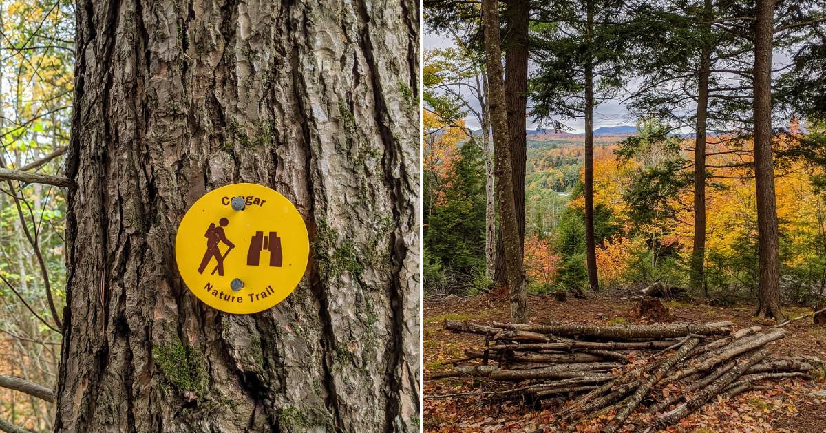 split image with trail marker on tree on the left and view from summit on the right