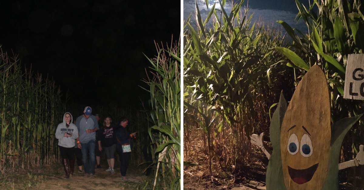 left photo of people walking in a corn maze at night and right photo of a corn character next to a maze