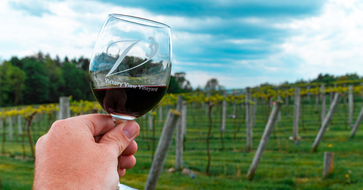 person holding victory view vineyard glass of red wine in front of vineyard