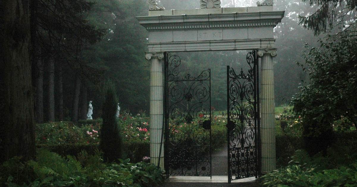 gate leading into gardens during a foggy evening