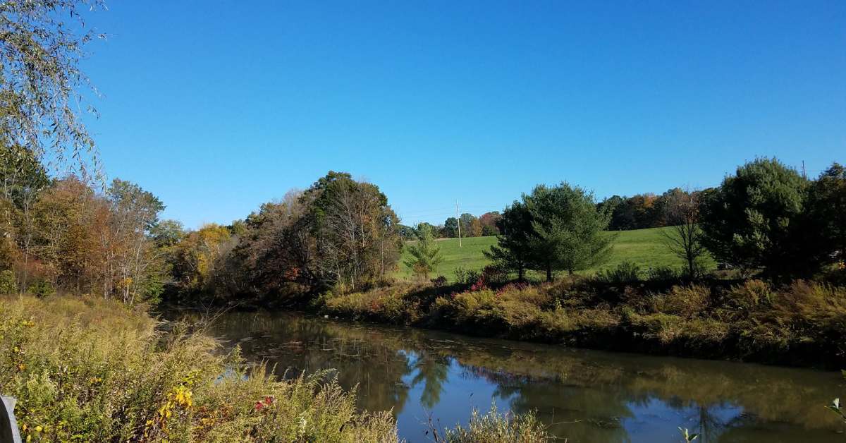 river with trees and green grass against a blue sky
