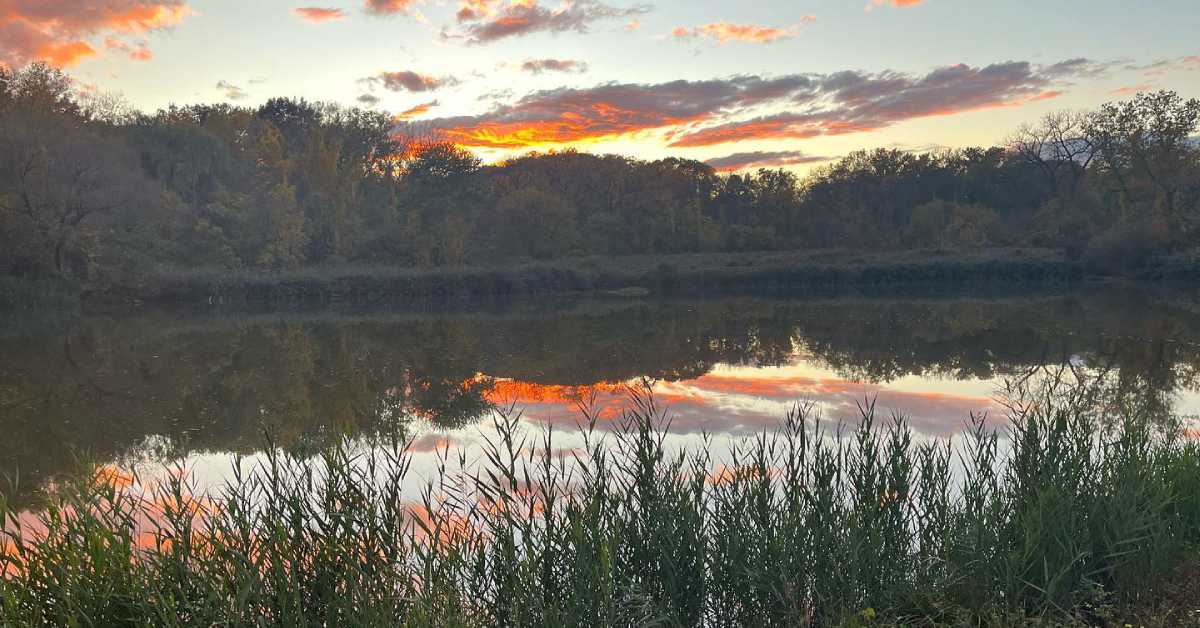 sunset photo with a pond in the foreground on a summer day 
