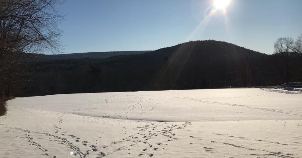 snowy scene with footprints and a mountain background