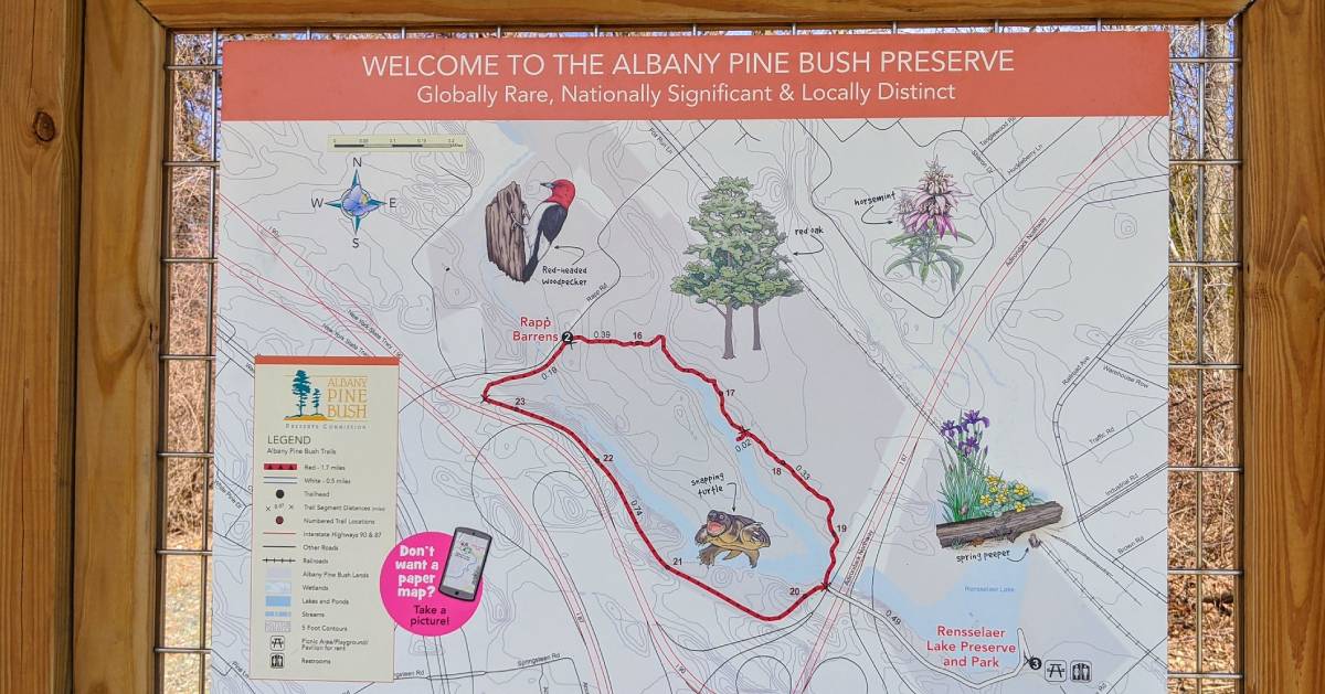Pine Bush map