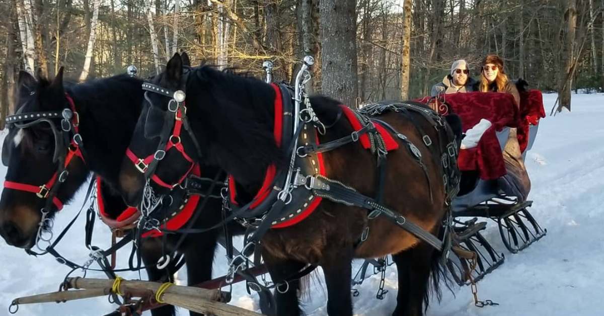 two horses pulling a sleigh with two people in it