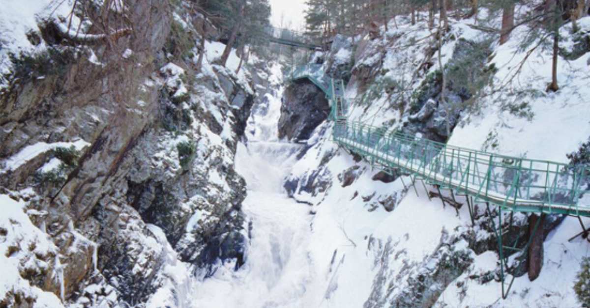bridge along a cliff in the winter