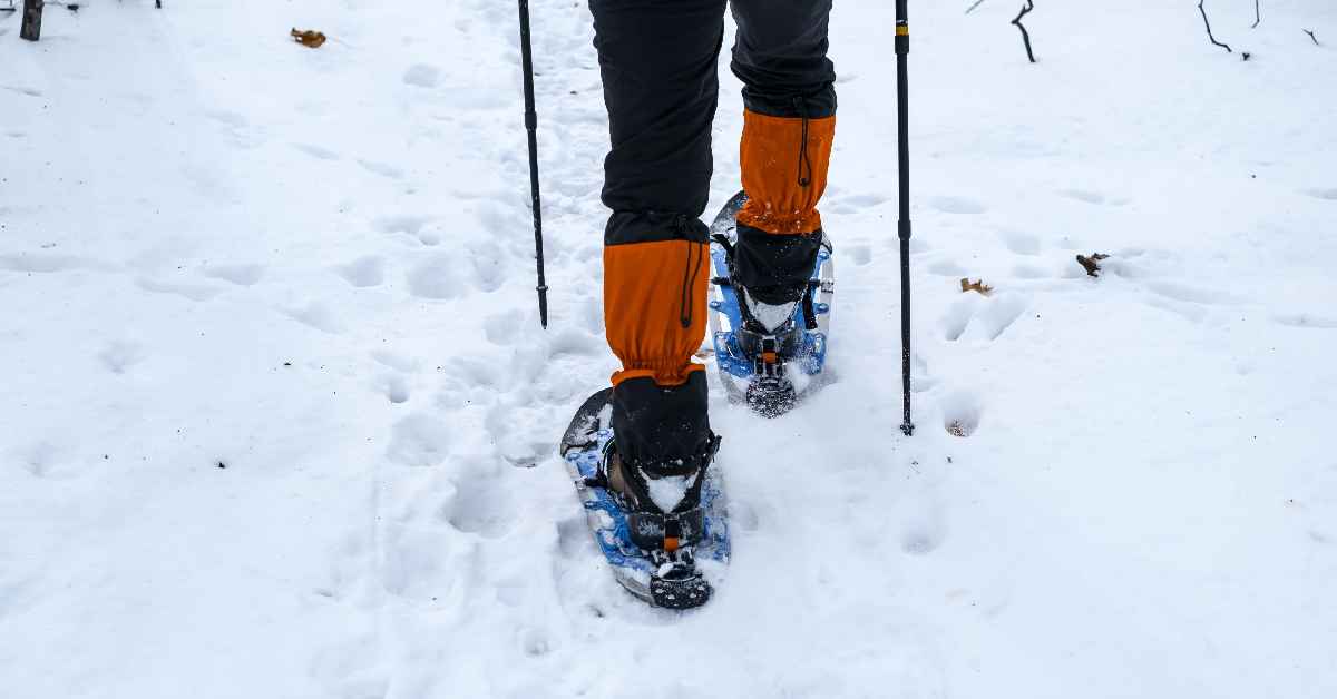 Person wearing snowshoes in the snow