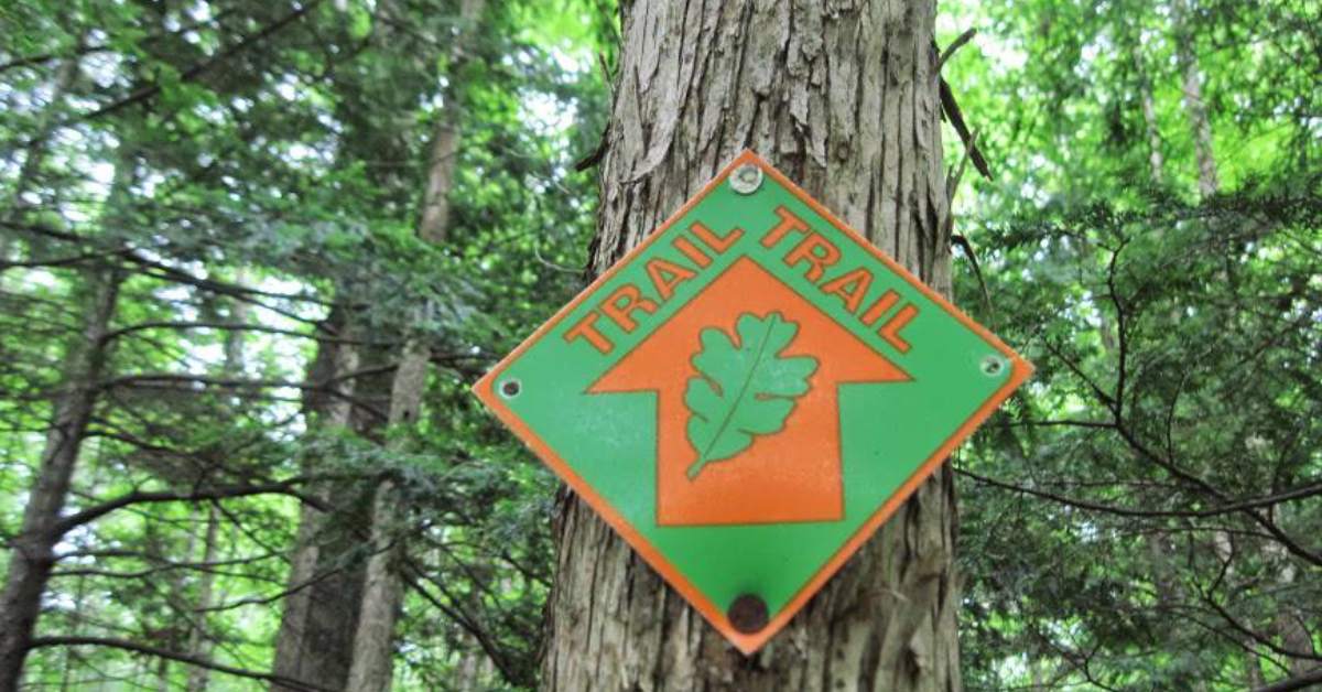 an orange and green trail sign on a tree