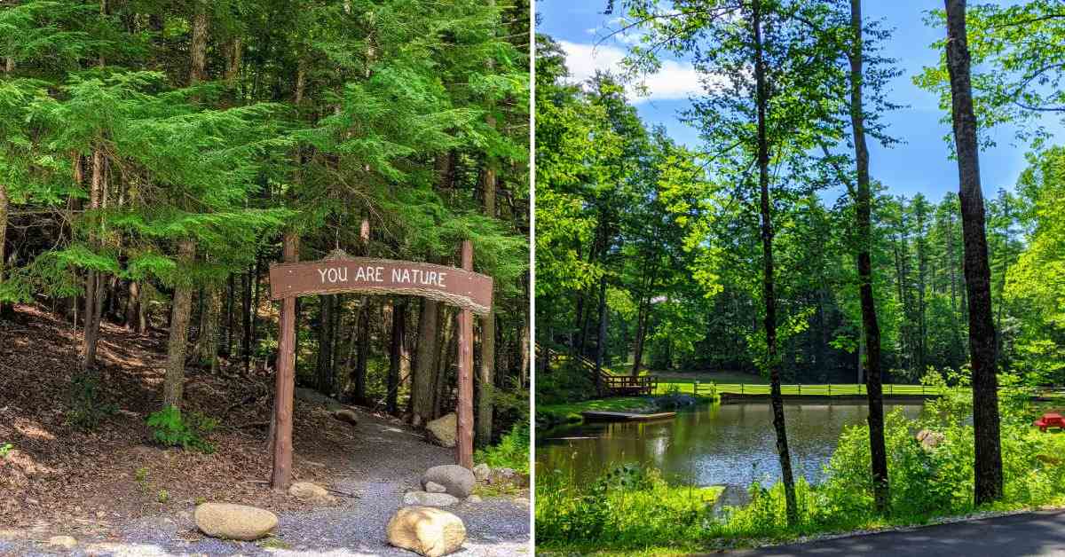 split image. on left is trailhead with a sign saying 'you are nature.' on right is a lake on a sunny day