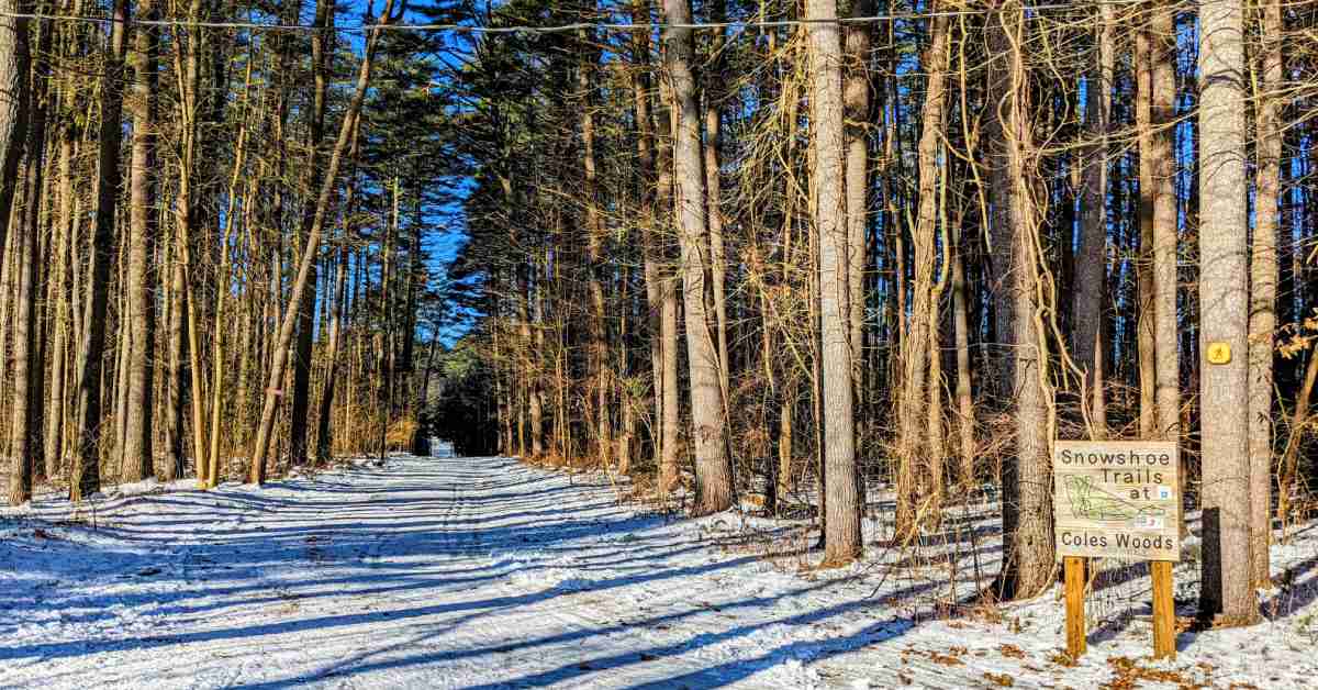 a snowy trail going into woods with a sign to the right of it