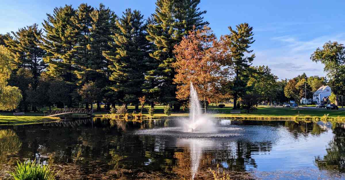 pond with fountain in it on a sunny day