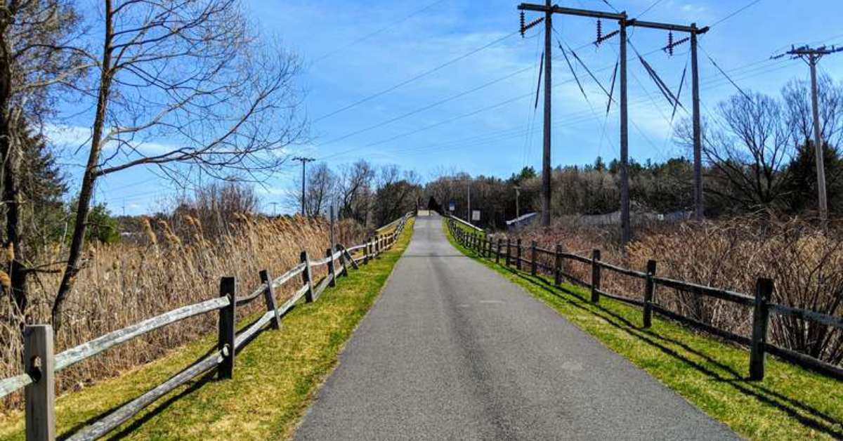 paved path on a sunny day