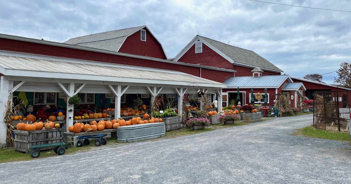 exterior of a red farm building with a covered outdoor market space with pumpkins
