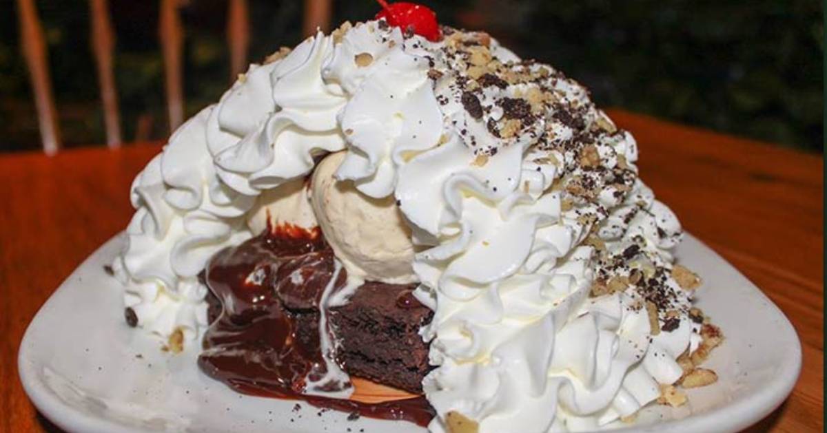 large brownie dessert with whipped cream