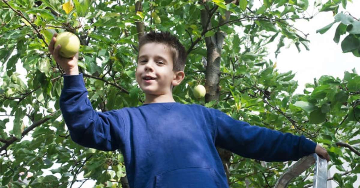 a boy in a tree smiling with a green apple in his hand